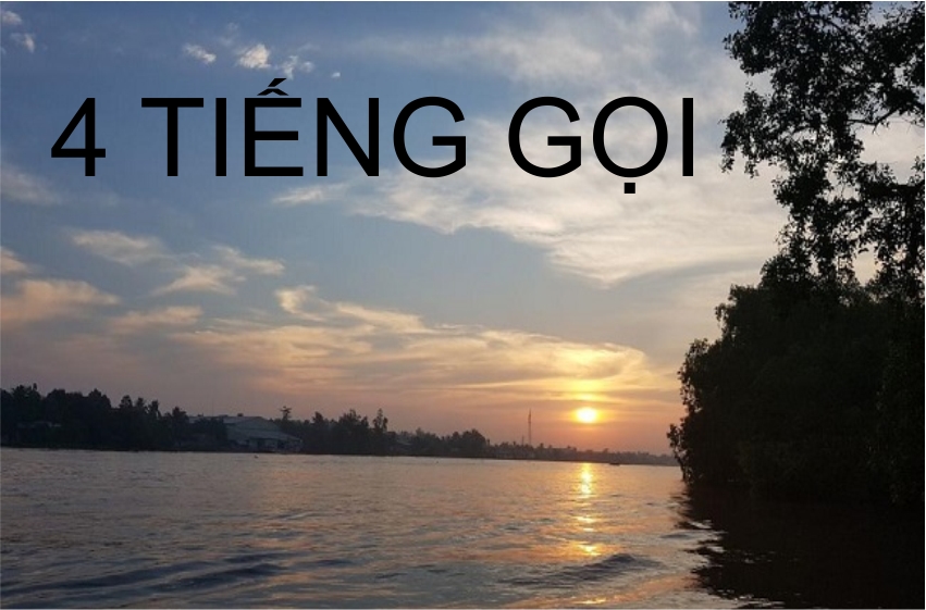  4. Tiếng Gọi – Đường Hy Vọng
