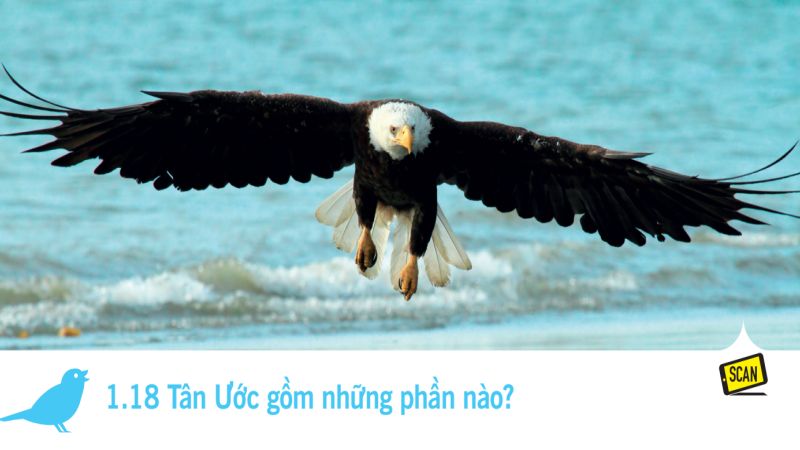  1.18 Tân Ước gồm những phần nào?