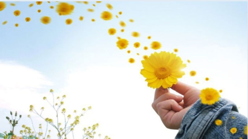  Hãy Chấp Nhận – Hạnh Phúc Đến