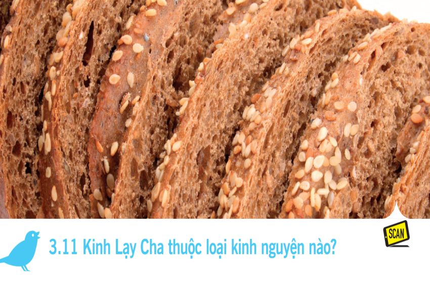  3.11 Kinh Lạy Cha thuộc loại kinh nguyện nào?