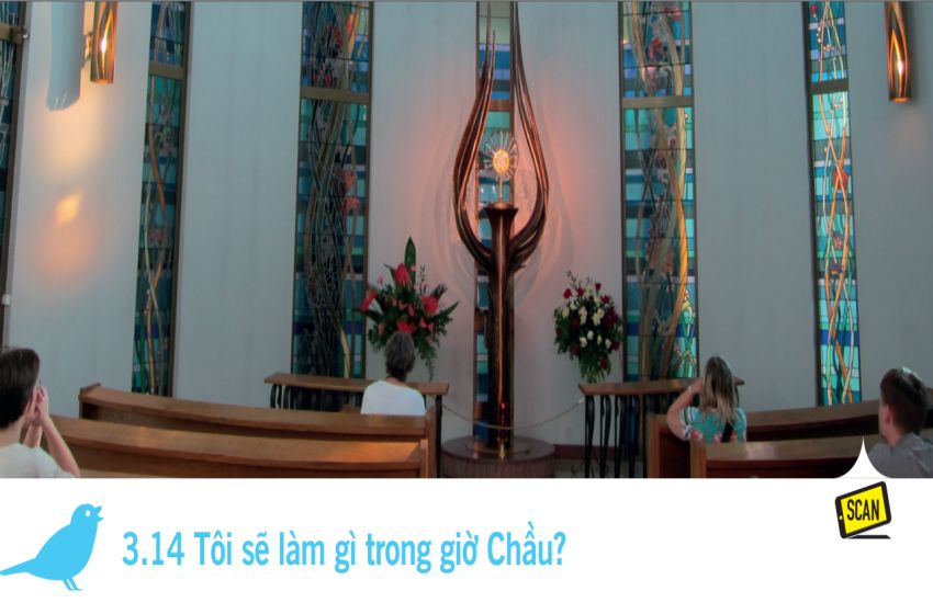  3.14 Tôi sẽ làm gì trong giờ Chầu?