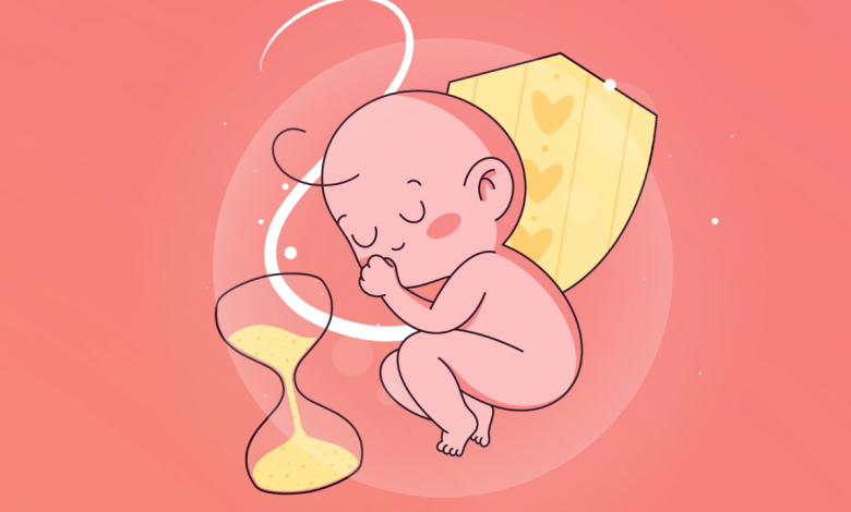  Làm vợ và làm mẹ