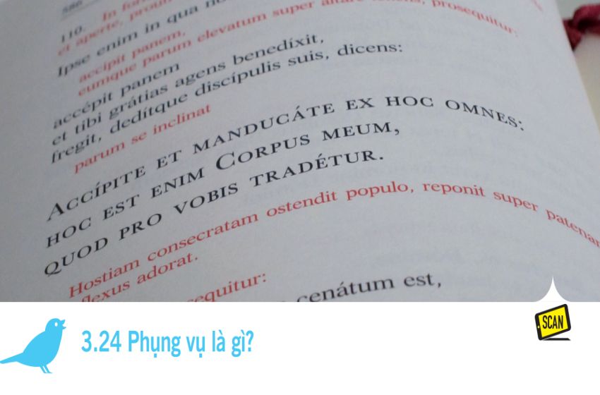  3.24 Phụng vụ là gì?