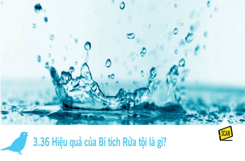  3.36 Hiệu quả của Bí tích Rửa tội là gì?